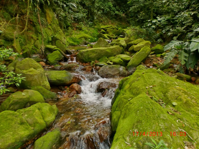 Parte%2520de%2520cima%2520da%2520cachoeira%2520das%25202%2520quedas.JPG