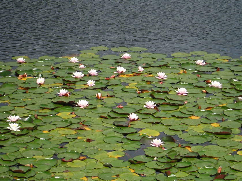 8myqYDV7E6lrcr5WYm9jDvs0_FLONhfjlrQNjiekEgiAx1ljrQXFjZyKkzDyCfGQGOO4mLtxQRm-v2EJqbu4DMg7XL-LezBFRDp8tTNJYNfmsbfLud3dDy2jBYaYWGFxZQz0_03pH0UL694isgBR8rLPgK6ame_5MXkm5W12TMbqibKOZ-kIzF3N9mN11QPLMD80BFZ--7GOtAcYeqalu4cqczZdSafQErb1ULAKRgGn4FLuQiM835Vm2BQ1aaKN-s4WKg1HxUiDNuL4P9EsQw49F-4xUp21QBvbCIxuRYQ_p0VCEvdnGSeNVOh1PceX6b2TTIXKZPq-grWIkSqQYrV1CAYFw79KFUsL0VJZRaOhP-vDbVzkYpKKkzarT5e7LYgzJTGSsWBWqv3MLmsxoYJpQ0KtBgeRclxkbc5EW775GMn3_V56j12vKJdGoy2K7HUDZ3nJ7F_5h2pGB7orybj7ali1UWB7wF3EssLxjdTTg6DYtG_ynF8epfLJT3pKZzkzj_aPpHJGi_wFkJf2FxuNFRoUbjBPmULwvW6JidcLENmPs_qgqJnHvGwH8GFDX8KhqfAMGeuj_ICM25GdK0qEpnhynSSErFvW9M_i=w839-h629-no