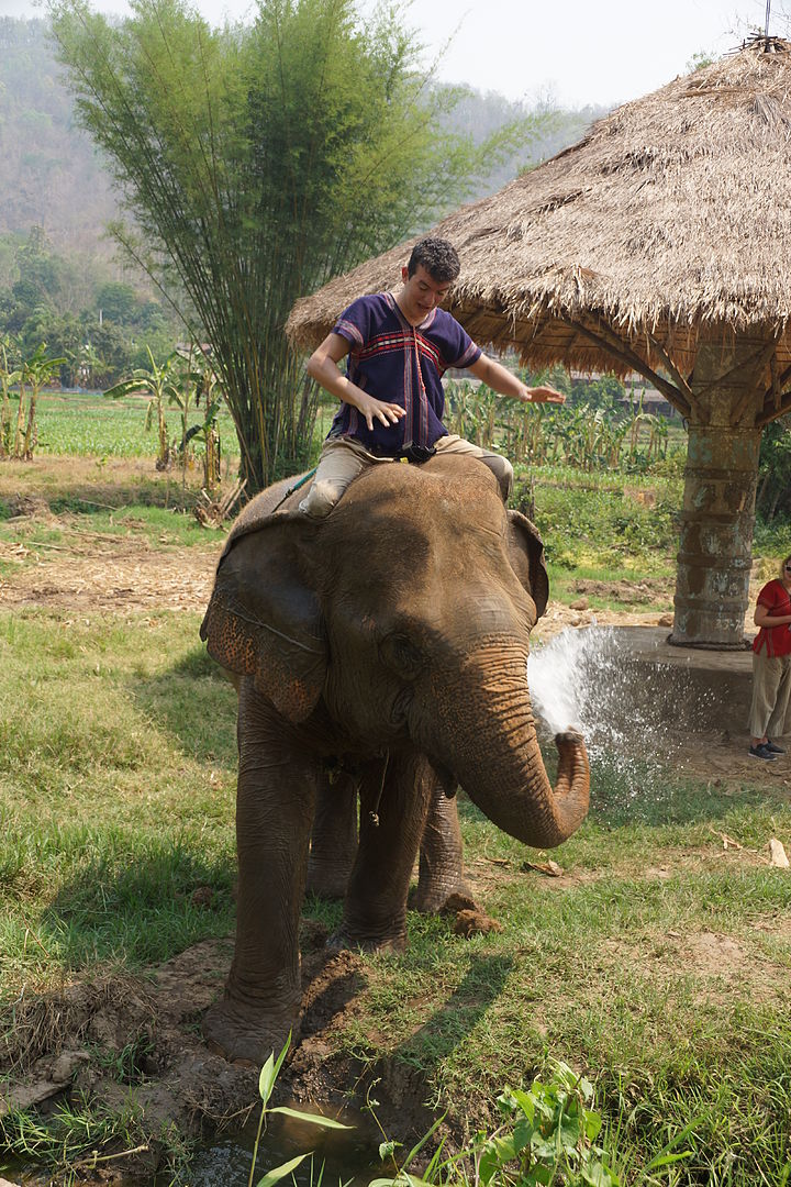 DSC06845?async&rand=0.6611869729677424