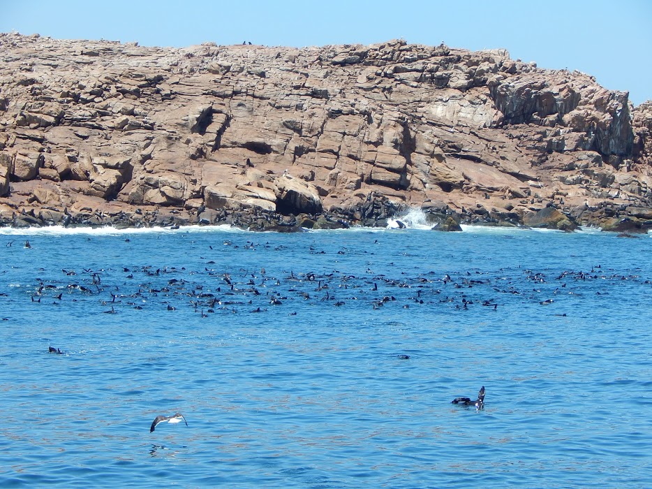 BmyaeJNPoOTUMp6UtAAjLrypr1EDZ4mli-sxqZzK7nHPzU5hT85VDEStzXfrIgbdwAU6E0Dlsk1stbhYv6XzTCj6JGqJLj20p_oxwKCTWgeT22HRAkJ7rnMxeKhdkNNwY-1sl7SWbGVNoGyvJvicykShTnIgP_m_-KJhcFnEkSBe47rezbdYvSqgNGRYSMLL8nO3JSu1Zw62MUUDGaRaUTuJNwrRNs4IObS5EpPCI1D5zE2JNs265kBqg_1Is_cG5OwEtQSb_NoZpA9F_1pwSZfG27QTjs0SVhP7cUR1MlHodi0RjT4Is_aeu5Wkc4edOwcZDWH_rnVCnz_i3zHs3RxNczbBZwIwUDzDJhgw6rw7HIiWln-JM-o1YooOTtuJjinoI0T6sALGn9W4b0mvO_f6QiEJqJPVZwVLiLKI7q4f42epWiMu4YfzbfgXdGsd_Z0k9chCqTsCy8SZH-CVXbBQzRSKD68DBLGCQpkqEOc5BZxh5NLGzMBnfgG8g5HrrrV_d4Nl6HU4szkYojjqKWjWXuNBi6P4XlIig67qppTWnok_Q7quqGrXgJ7roQNuKPvBr5wWir9X1md9LE-_wSFI6pwB34XdmEJ1UgpNUJxwNxD4IR6M=w934-h700-no