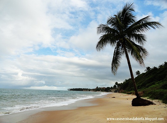 DSC07995%25255B5%25255D.jpg?imgmax=800