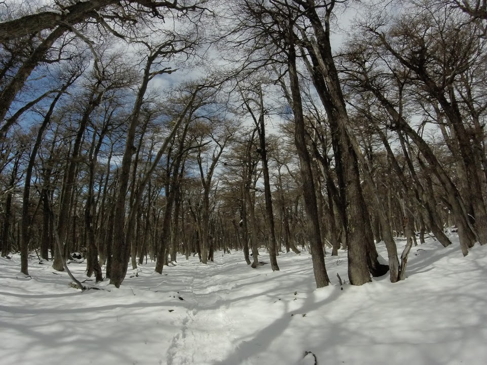 cbk4-HTm_JgUoC1N8CkndAcXcChe3htBJmQ_DE9HXKN1VepkwO6gl-ZHpEedJh9PsFpf4at75WLcPGYAXzPq6MDG4dPbBeYnjyi3D0KlXVzUxqUOM2N_feKnV5uZi_f0yDKu5DPMsQwPtTto1kTn6ZA-W-nGTeS616EIN1GJI1yHwIuxI6RWZCnzcf4PKLsPSqDGs3LjBg5wJhfYyTYXlHoIq8EdNrAIFewKkdcZmJOLgqpBaSVIDd3ET1sd2XC6g9Su3qQfhH3QA5totYptYn9TX21E30ED-Eb3O5fFUMrFyx8IzkT4uL96BrJ8CN0w2hvEZqbYB_c3-SSxximCvgayz7gAAdGaSr6nzQFfyO76eNNAvB94qxvD8Ovl7IotScOUg1IxBsWmTVeuOc0Ny1tAp_uZFyv3xiejcsGHff-VVKYTvNYmLjgLBaBN3AcyBzX3-ZPBP6KyPPzZMKkgKX7-ejKFFnjSN7qikuFv6uB2bCTGdS6oMUyeHMRAMSLBVMpEZfckBJJq3CCNAEzmxBlj9nsWQgXrPSu1fSvkBxh9Eh5wGJwJyP35NqllEnyrsXhl090JhCKGp_m5cJ6nJYtZpslD-O9iZMeJAhoMazn4xjohOohNPg=w962-h721-no