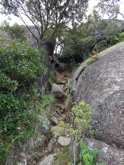 6lGB-vPwh0gA1KDFn1tO6XeilN_lAcpxmQR3eKSK