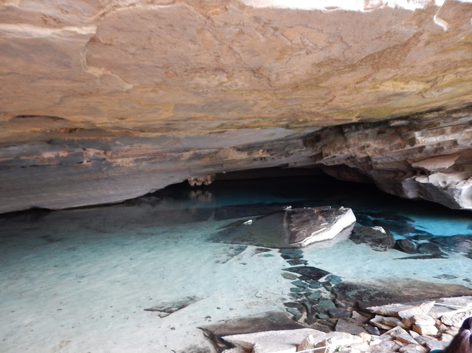 FaUgET9ilobYKSNQJVY5DvLpmdkOcGrnymKwND4C