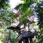 16-Curitiba-Parques-Opera-Tingui-Tangua-