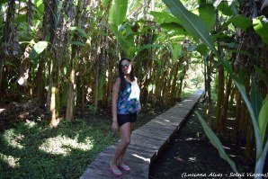 Fervedouro do Alecrim