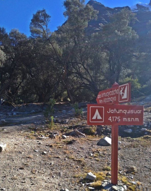 P_20180829_081120_vHDR_Auto.jpg?resize=6