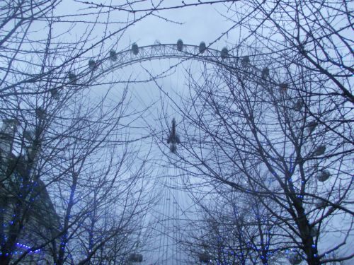 dscf1045.jpg?resize=500%2C375