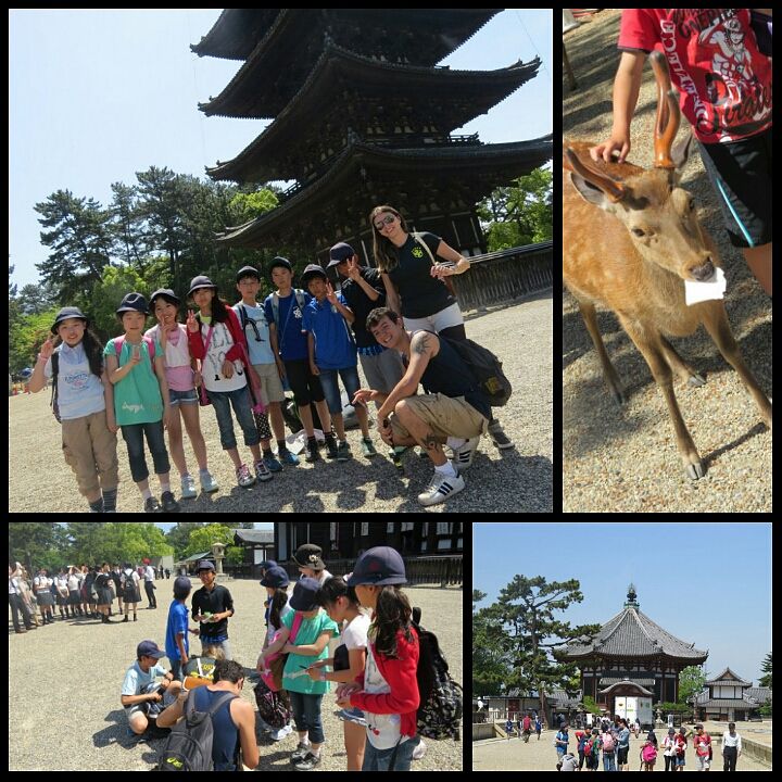 PhotoGrid_1440110200361?async&rand=0.039160931229841545