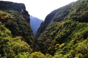 morretes-curitiba-parana-trem-12.jpg?fit