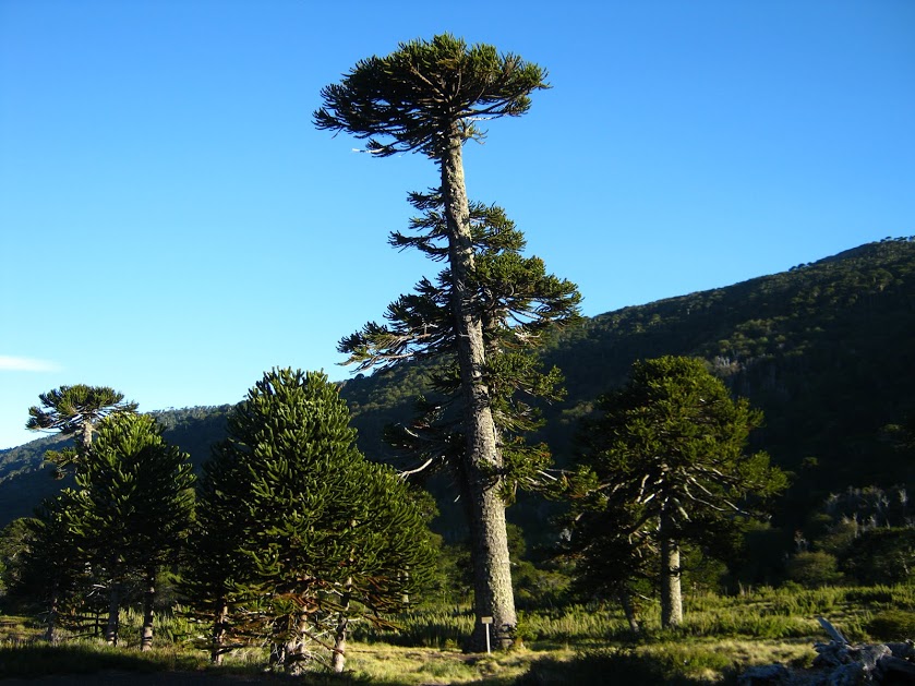 BUKqCXvflUTNLCR89Rw4HVe2TUrmGFTHb6OrRMaHUbF7bxi2nbd5eaYurgg07A9oAHRZeY-Ora76yPcQY2OxmFq2bYMk7g6Mg-VUjXRrmjBU5MQIfotlv-Rq9s97JwlkDMvbHHQ9NgAqB86Z2Ua7Ti7YH-8YWYB3cSnipbxmlqP8IHivssH8EDCRfPCgWBZDvIl7Av4lClB7EGbxcmJImp9nYkRML_rO8HuWJUGDlflrqD814iwNnp8uoy7UNNy-tw6bHTjpI44Nd7dLW7lDphUC2_aO7Kd8nqxneeEMx0SNpECH8oqaKEv5C40hbjguNpJgaH_YkKYJB3IeXDAIs4sdAYtzblpNoyeD7ZK4swBH83S708Y7bTqWVi6v858u3T59y8LOUQgnhIDbxfvm1v6TsR5iHBZNK9dl1zm_7pMa2TDQzap4Wj4L6VMUg8854VR8r_dAP6cX19DBMle9Ic1MkEyFfVPEsuGCfsg9yYCbSmaCXpV9tBbueLnsbeumTormY9HrDzQ5F_Xf9WteadniaFeJxL4JKh7XPswoVrEV7wX4P0ZJzM2n0nuExFFNpztqa2TOuR8Z_v930S8F6cRDHN6MoA6EPOAezh6o=w839-h629-no