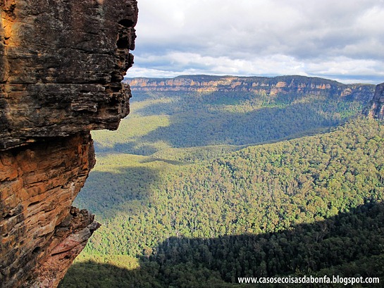 IMG_48186.jpg?imgmax=800