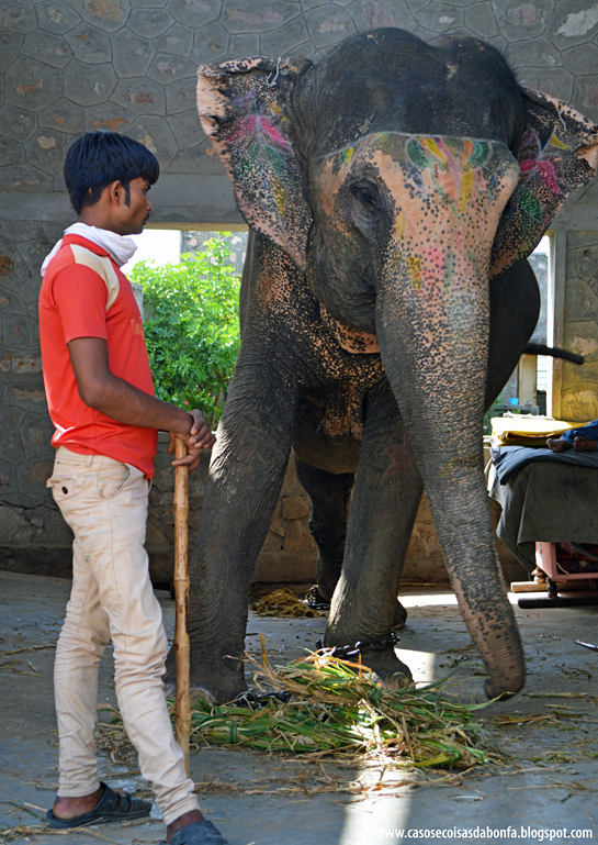 20140515-465%25255B2%25255D.png?imgmax=800