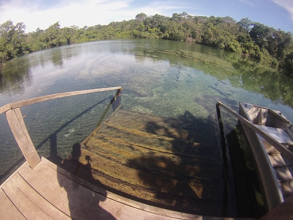 32905486_10204715533444848_4195670310701