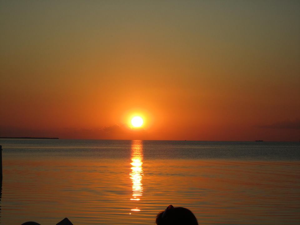 18446836_776384299190949_3552648133931842838_n.jpg?oh=45ca9235ef1f7955746ec1565c32cfc9&oe=59BB95C1