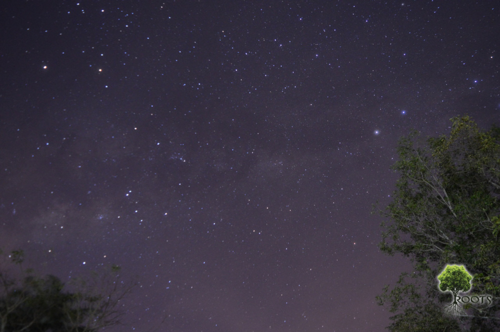 dsc_0313.jpg?w=1000&h=&crop=1