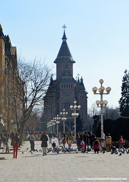 DSC_0439%25255B8%25255D.png?imgmax=800