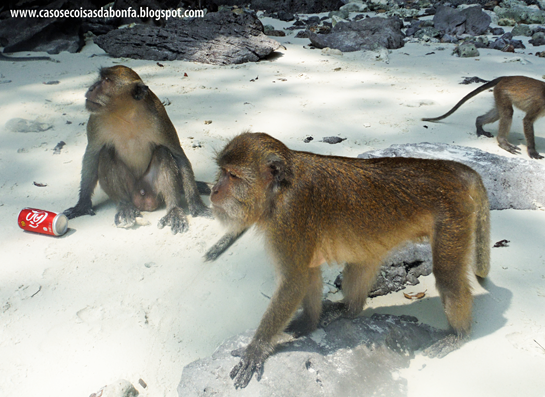 20160330-379%25255B10%25255D.png?imgmax=800