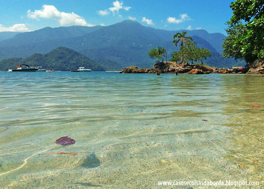 DSC_3403%25255B5%25255D.png?imgmax=800