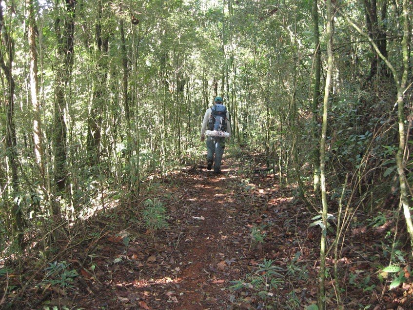 EpwVlxasVa1zmwMdRAO7GUT-RyR9TKWelicAO1oh