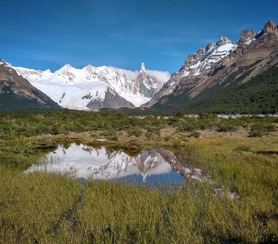 26167298_1575534059168255_65902165706434