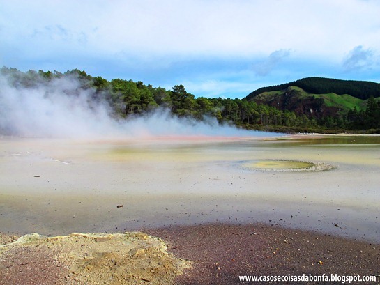 IMG_6998%25255B3%25255D.jpg?imgmax=800