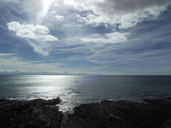 DSCF0063-Copy.jpg?resize=600%2C450