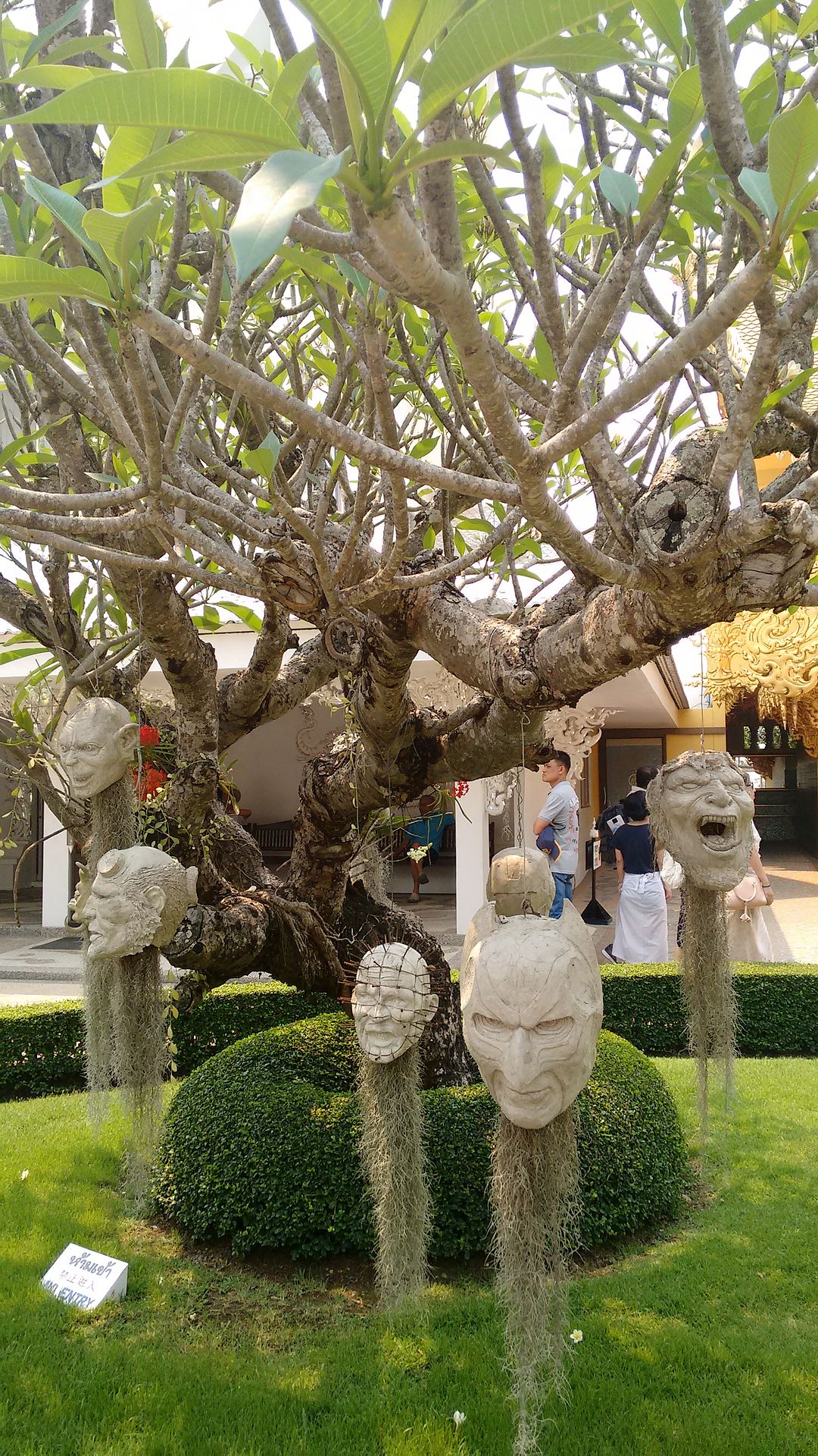 IMG_20160412_110502335?async&rand=0.25320573855582373