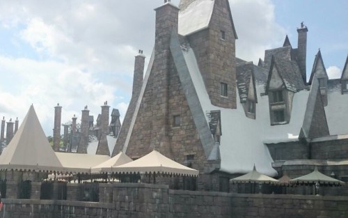 IMG-20150803-WA0055-e1449338954842-500x313.jpg?resize=500%2C313