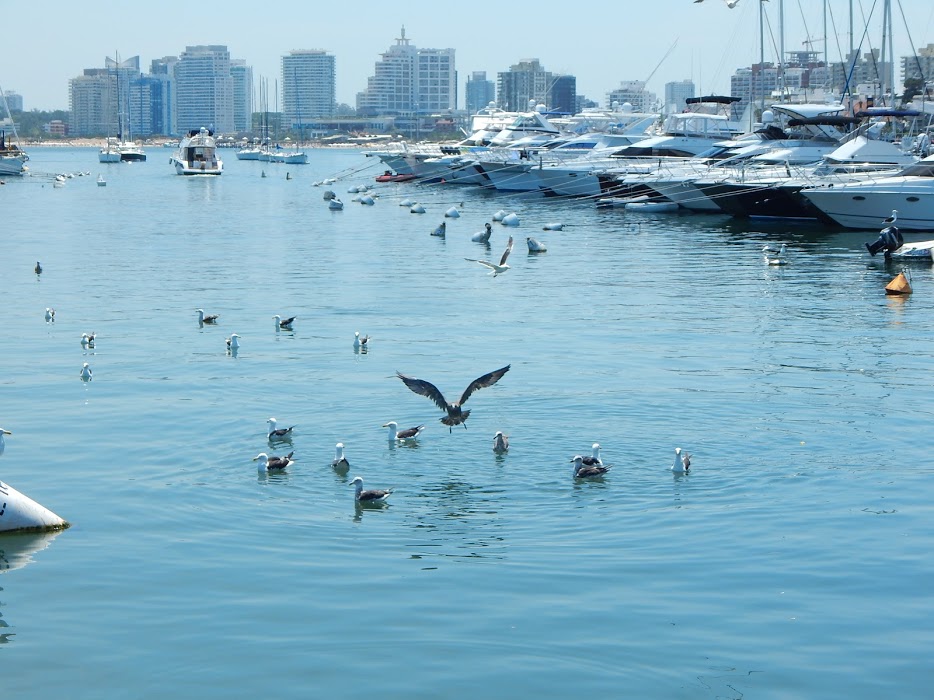 Fa4NbVvwbyVF6sO0ZmB_zX_Xj8uv6LC4nYMO2o9guC1oA3v3P6URlD9pjqJ0qA4taoVoPBHYm3qil6BT3UX4-wKyona3t2WxKNCzNo5AkFGQ8ggSLdeRbdGDplSiw-54-3qMVXuelJZWlqGL2WelYS849jTMrMvhOTiYP5b1u1P-VijIj-2y4LR-X_s7qnUxcG_-0M9sz7onorlTeszd4VzVKralr8AqPK9Y0-y1dHuoLrNOywz2OkBGYepHecHP9KcYhYtVQgZw7mGT_N7WrwbNVF5sJ3_yWAg94c0-WSXfLBVH5qr7P0v5dkIJ3ICqkqwuLTgesmOuaKdOfTjORq1XPpMnpukt5f8vB7slXTjcqlmdrDV0gxrTBx0na6a7smQQzTmym8P5hJK7Gar5960EAAcuklU-dCGvwq58shy2ypikwVNEilyQ6oKksC__STps_7DYaVkhvBiyRA4tcBtFpVvBEmapHvfw9eJ9eIMRQ3xOBLFH1OUnnLceHVwfzsQkotBC7edMyYsNHTRyRQf0qOecOpHr6ImJgYASA6P9SmJ8QSmyJ88UypdEJs6eY4zEMrk3COoncdsT_AYIRva-dQuFvBjGDMiKf7RIGQEScW9SxJHc=w934-h700-no