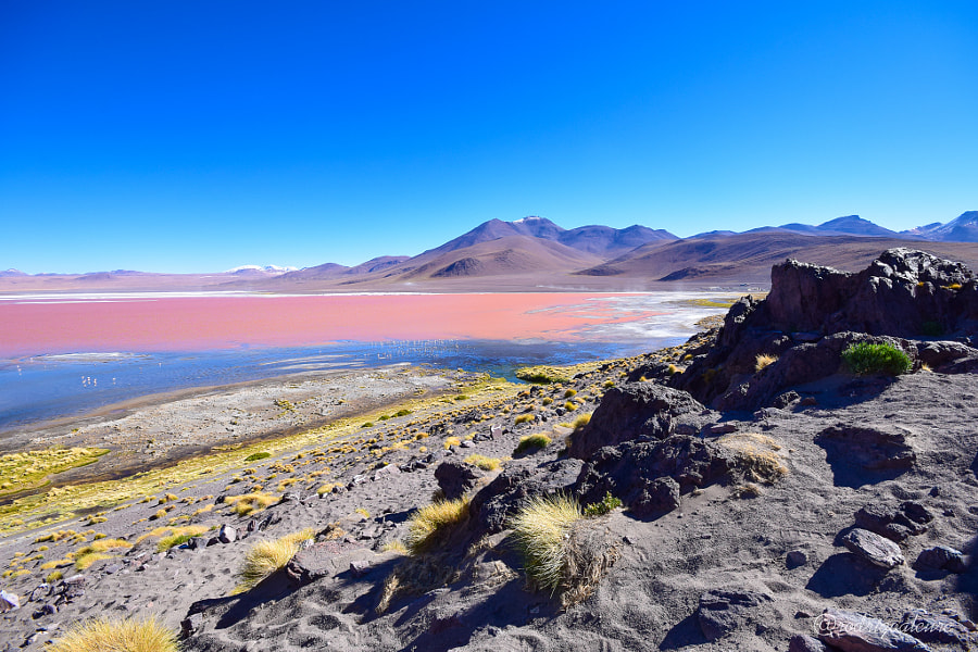 4da676fde8e8e8b24a8a9a34c5d866eb