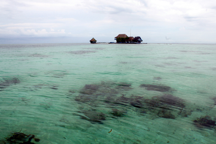 IMG_2422.jpg?1384798808