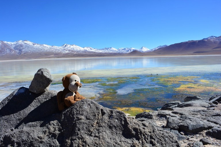 dsc_0017.jpg?resize=768%2C512