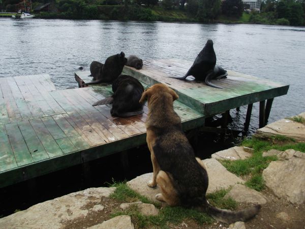 DSCF0401.jpg?resize=600%2C450