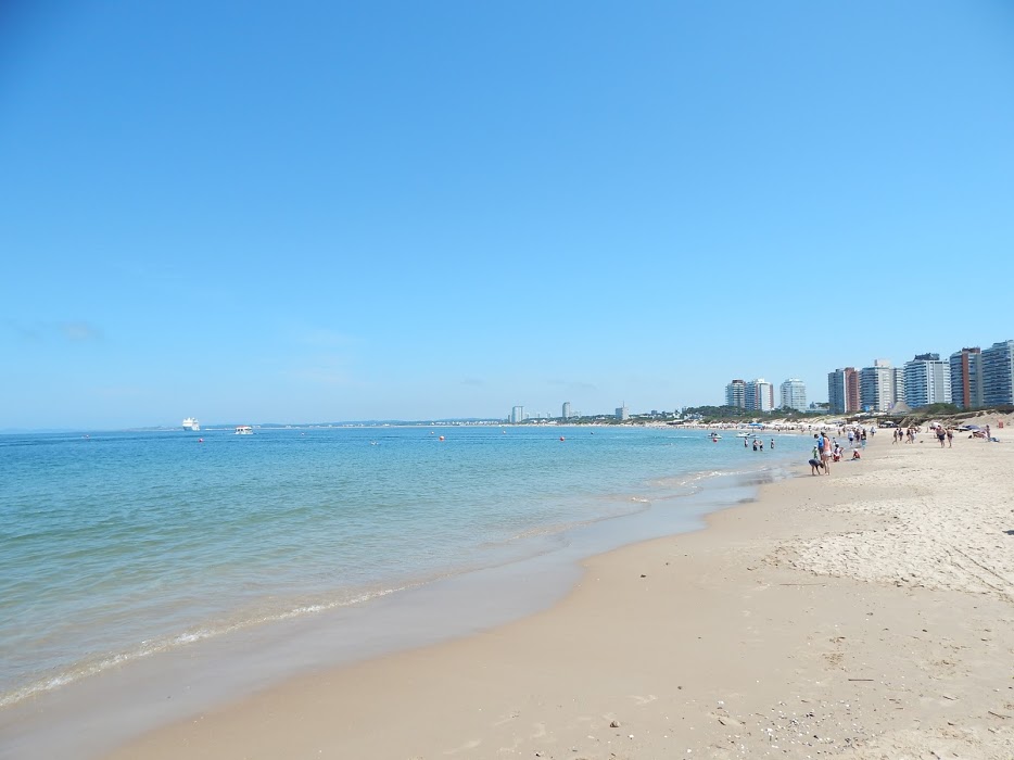 pIMXO_m75wmA8JfdM7kzt-Tt1FvxpyIvKnF65dfaB_foB6V5_RitSAjhBAoYh_1tPkbjZ3aGNWIkdsOJXfkGOvToTI0K2O0lT6EP3ZdBIB_YkkEkkOahHSu4ujvVscHLRS_4qmdZQ_mYLudVprJ5LtYhs0p2PjNgq68kV0zO30ZVPuTf-mofHb72SmAevJhxhfZKndX2HjFYjEaHnFz2qayLwcjlpRIrUwl6wpAIDXDOfZQERaSitHia-24Gfr87dETBPSem0kdAYYBmvOvUFTe_Kh5ZkRG7CM-iKYBbe6VvNdjzhv2CZJgNjbt_97KVRw9oqIVeocSgddGsOSZPbosxy1zi-CEC2Y7auxTfuRtCjwVk63aXLcGMHCZKE1bJoVjVjv3ZlOIrqZLJIK-xhQkt5o5Ysrp3QxoOtve1Ti36HihDpHBGdm89kPPHqBv-p1PJcOXZjANdZJOLzh5wiIJINWqArmKgs_mHo7pqHhE9YR29q6OWPPu5iMT0NixpzxiIRyvI0B2E9Z7Kc2Vwf1PWZqYT-KG9TUTh89mM5kb3CoityOM16hgZz2rK7NmSe0p1Ss31BtPreFy_3P_Al-JbDlgODMuZrIdZr6dGr2iaB7oQZ4LB=w934-h700-no