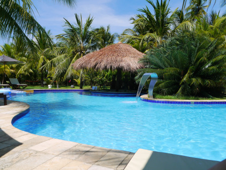 p1010346.jpg?w=448&h=336