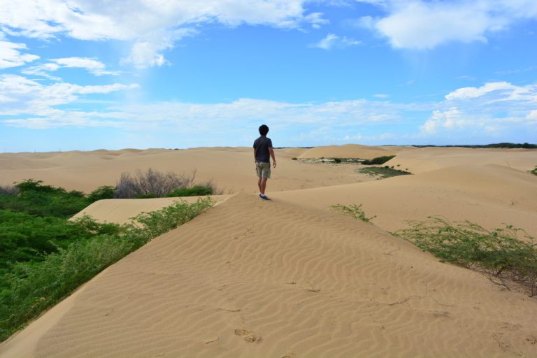 DSC_0018.jpg?resize=768%2C512