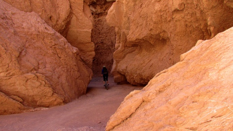 img_0910.jpg?w=474&h=266