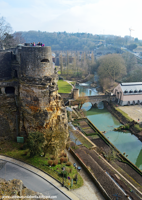 DSC_0804%25255B5%25255D.png?imgmax=800