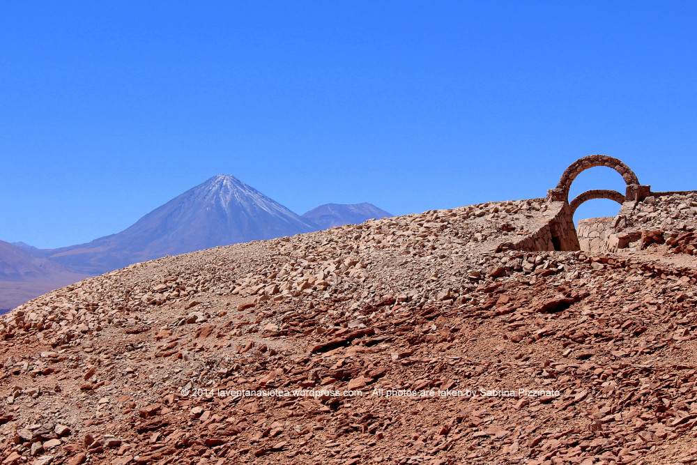 sp_ata_0141.jpg?w=1000&h=