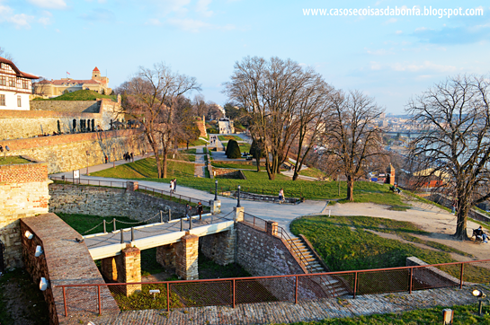 DSC_06085%25255B2%25255D.png?imgmax=800