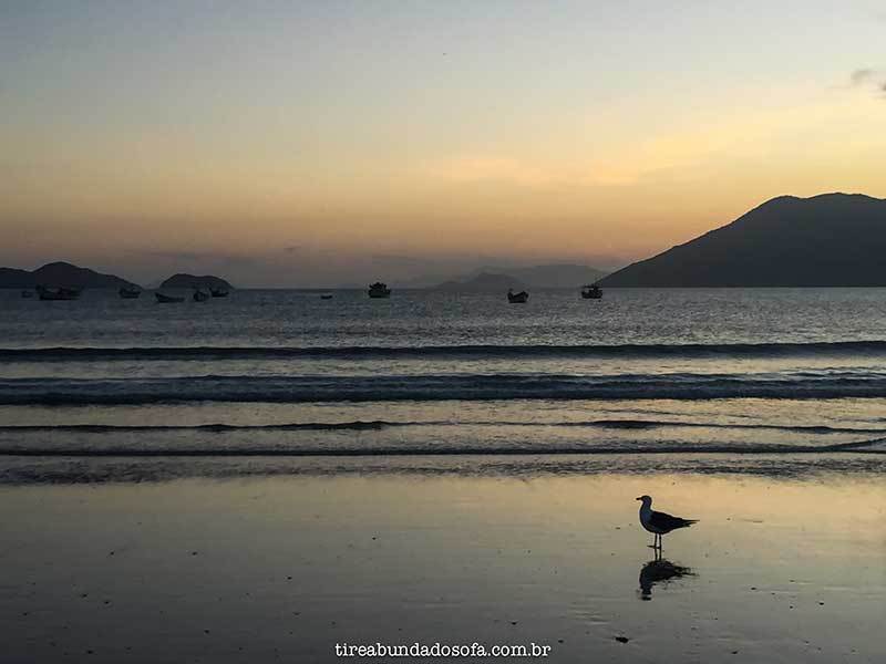 pantano-do-sul.jpg?w=800