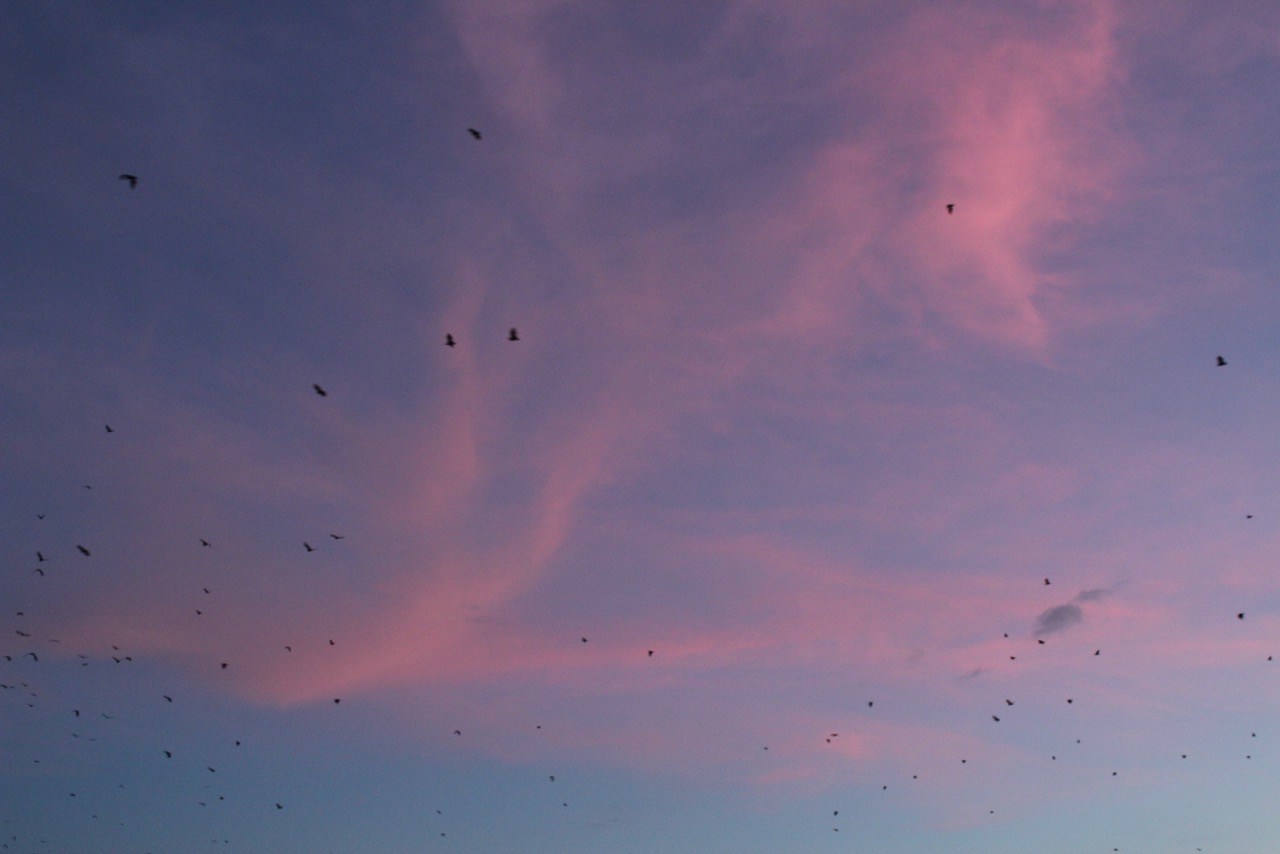 IMG_5582.jpeg?w=1280