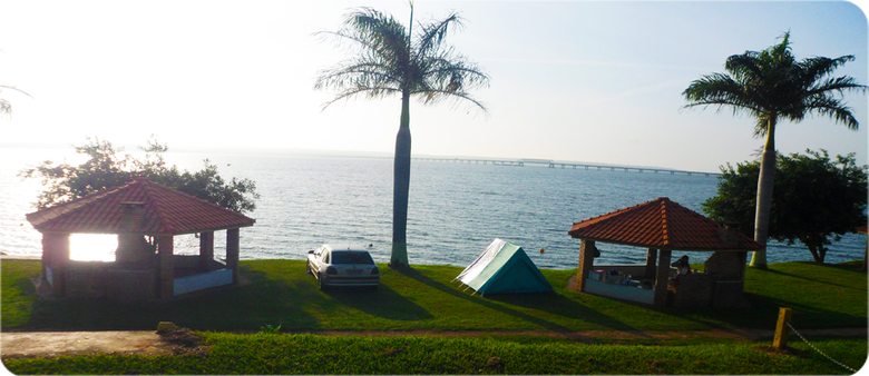 prainha-pongai.png?w=780