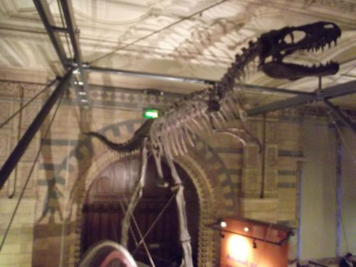 dscf1064.jpg?resize=500%2C375