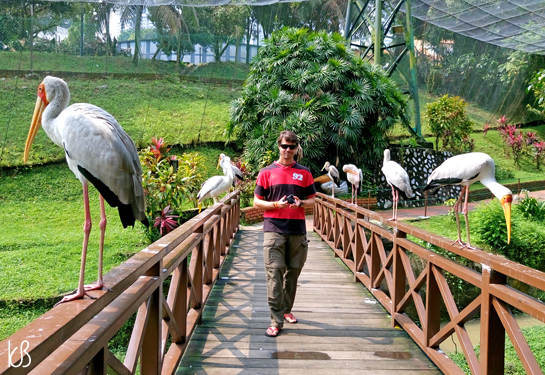 DSC_0459%25255B2%25255D.png?imgmax=800