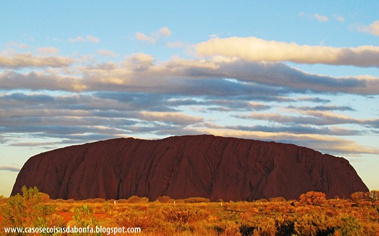 IMG_53577.jpg?imgmax=800