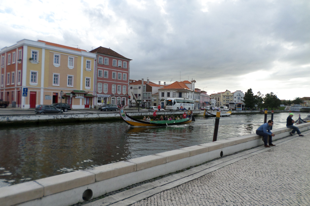 sam_1155.jpg?w=1000&h=&crop=1