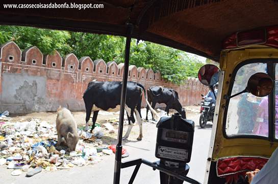 20140515-142%25255B5%25255D.png?imgmax=800