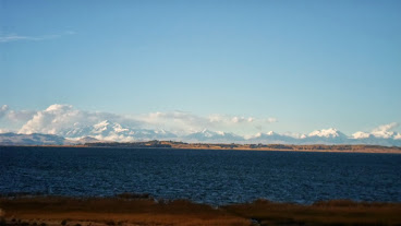 jEH8kHqDvwf2lMgar63FGi8Q1ogXK1M5oo81BhGnpF8=w368-h207-p-no